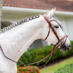 A close-up side profile of a white horse outdoors wearing a Lumiere Milan convertible havana leather bridle, set against a blurred background of green hedges and a house.