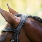Close-up of the headpiece of a horse wearing a black leather Lumiere Milan convertible snaffle bridle with white contrast stitching, set against a soft, blurred green and yellow outdoor background.