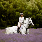 A woman  riding a white horse with a Lumiere Milan convertible snaffle bridle through a lavender field, with a dense green forest in the background.