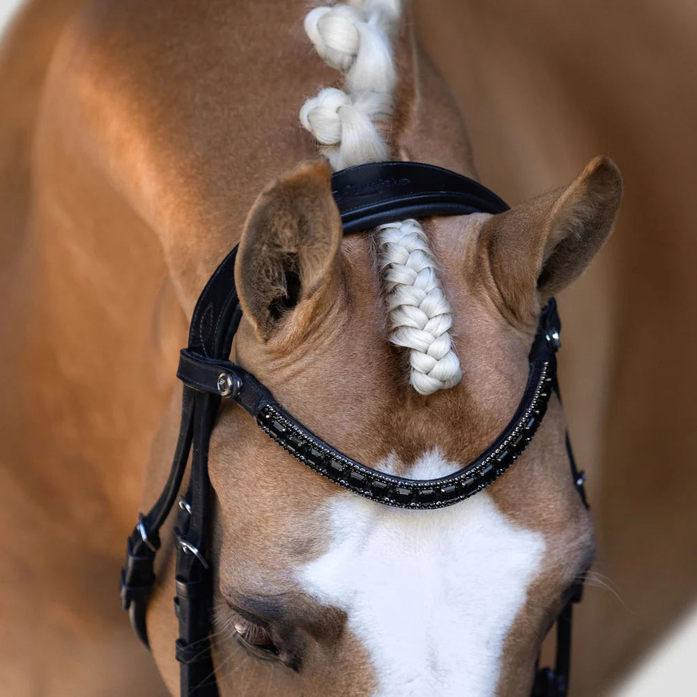 A palomino horse head wearing the Lumiere Onyx browband handcrafted from Austrian stellux crystals on super supple black Italian leather featuring a centre row of square-cut crystals encased by two rows of smaller stones 