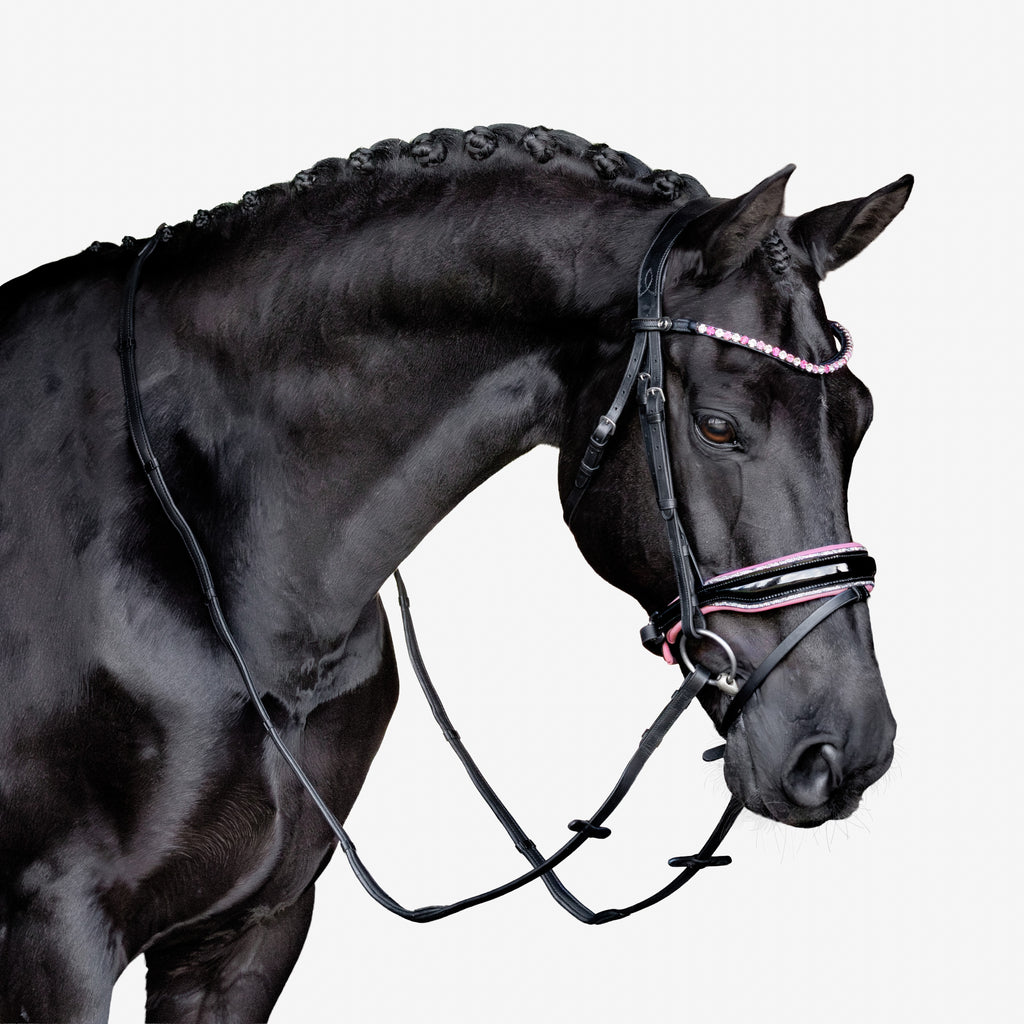 Close-up of a black horse wearing a Lumiere Paloma Hanoverian bridle on a white background