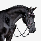 Close-up of a black horse wearing a Lumiere Paloma Hanoverian bridle on a white background