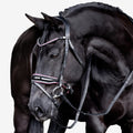 Close-up of a black horse wearing a Lumiere Paloma Hanoverian bridle on a white background