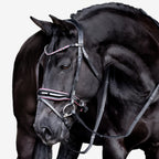 Close-up of a black horse wearing a Lumiere Paloma Hanoverian bridle on a white background