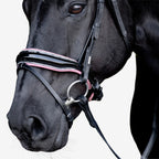 Close-up of a black horse wearing a Lumiere Paloma Hanoverian bridle on a white background