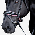 Close-up of a black horse wearing the noseband of the Lumiere Paloma Hanoverian bridle on a white background