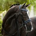 Lumiere Paris black leather double bridle – side view, blue crystal browband, patent noseband and head piece with blue crystal pipping