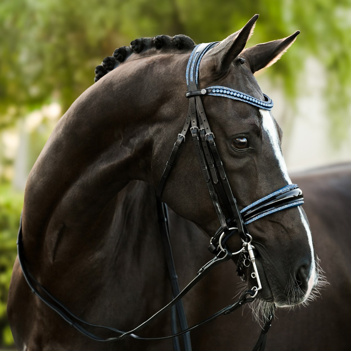 Lumiere Paris black leather double bridle – side view, blue crystal browband, patent noseband and head piece with blue crystal pipping