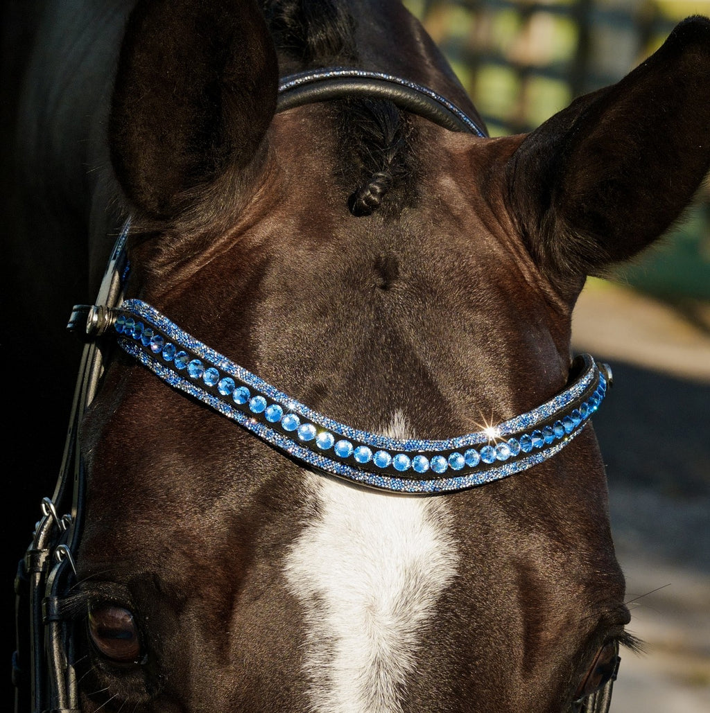 Lumiere Paris black leather double bridle – closeup of the blue crystal browband