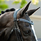 Lumiere Paris black leather double bridle – side view, blue crystal browband and head piece with blue crystal rock pipping