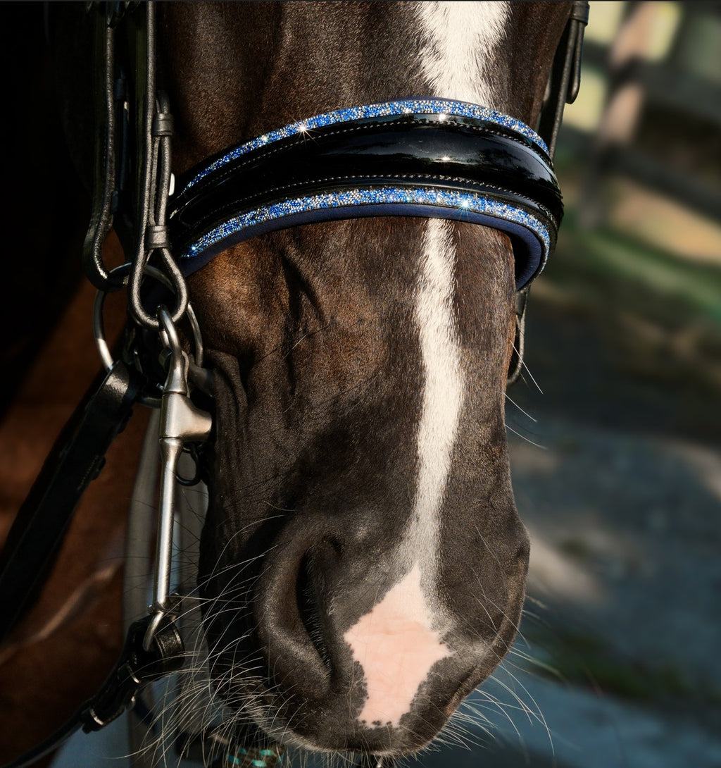 Lumiere Paris black leather double bridle – closeup of the patent noseband with blue  crystal rock pipping