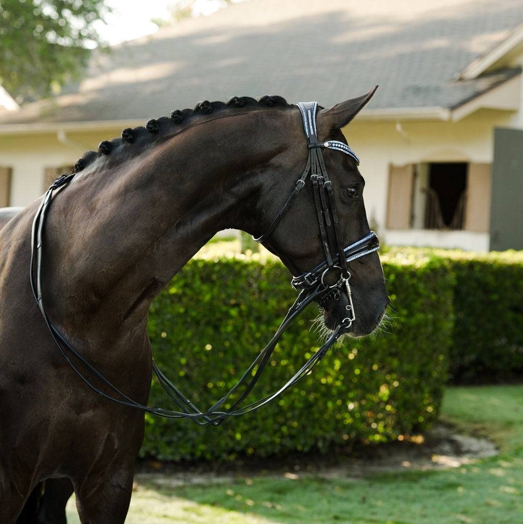 Lumiere Paris black leather double bridle – side view, blue crystal browband, patent noseband and head piece with blue crystal pipping