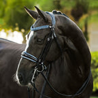Lumiere Paris black leather double bridle – side view, blue crystal browband, patent noseband and head piece with blue crystal pipping
