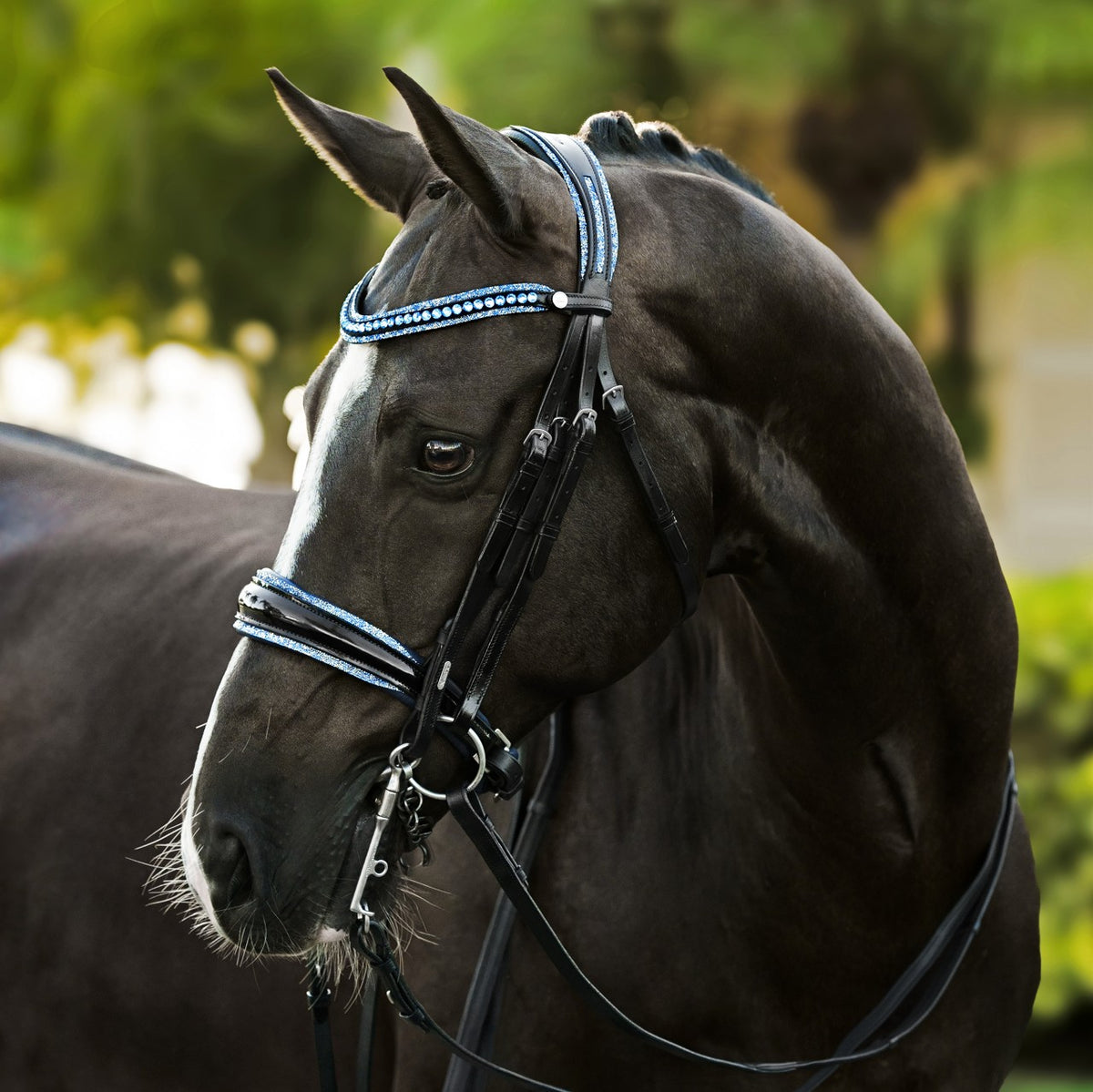 Lumiere Paris black leather double bridle – side view, blue crystal browband, patent noseband and head piece with blue crystal pipping
