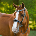 Lumiere Paris black leather bridle -Hanoverian – full front view on a chestnut horse