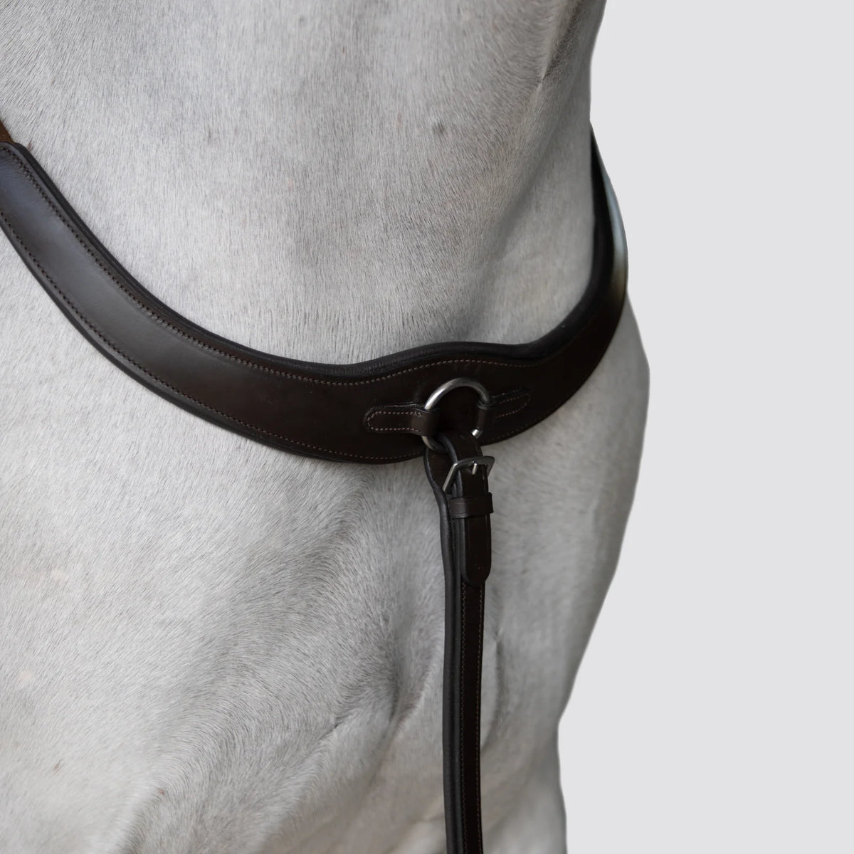 Close-up of a white horse wearing the Lumiere Parker bridge breastplate 