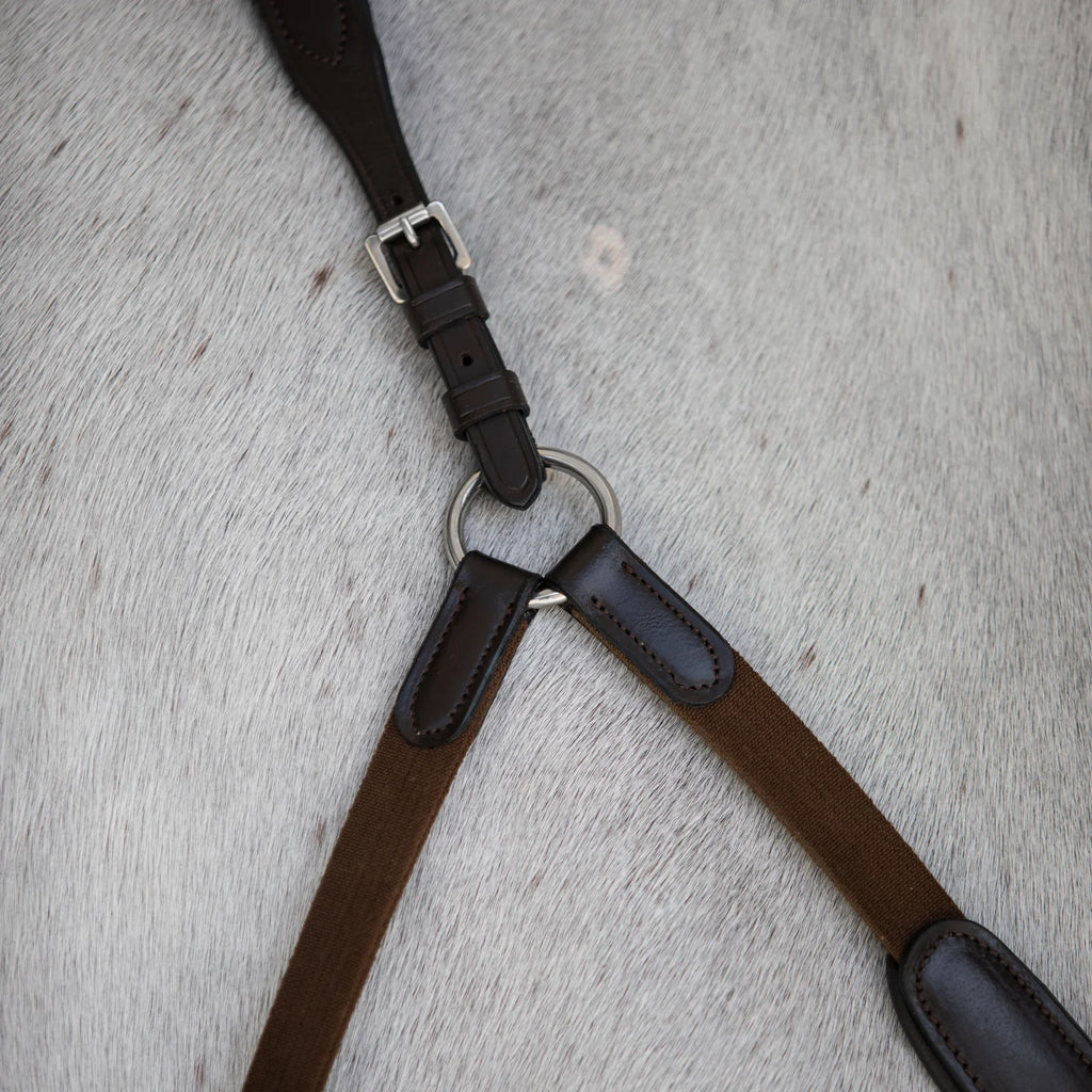 Lumiere Parker Bridge Breastplate details on a white horse