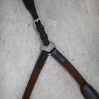 Lumiere Parker Bridge Breastplate details on a white horse