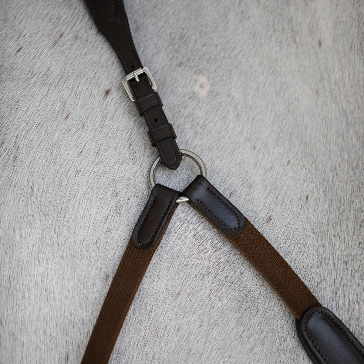 Lumiere Parker Bridge Breastplate details on a white horse