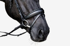 Close-up of a horse's head wearing the noseband of the Lumiere Penny snaffle bridle, Hanoverian variant, on a white background