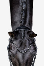 Close-up of a horse's head wearing the Lumiere Penny snaffle bridle, Hanoverian variant, on a white background