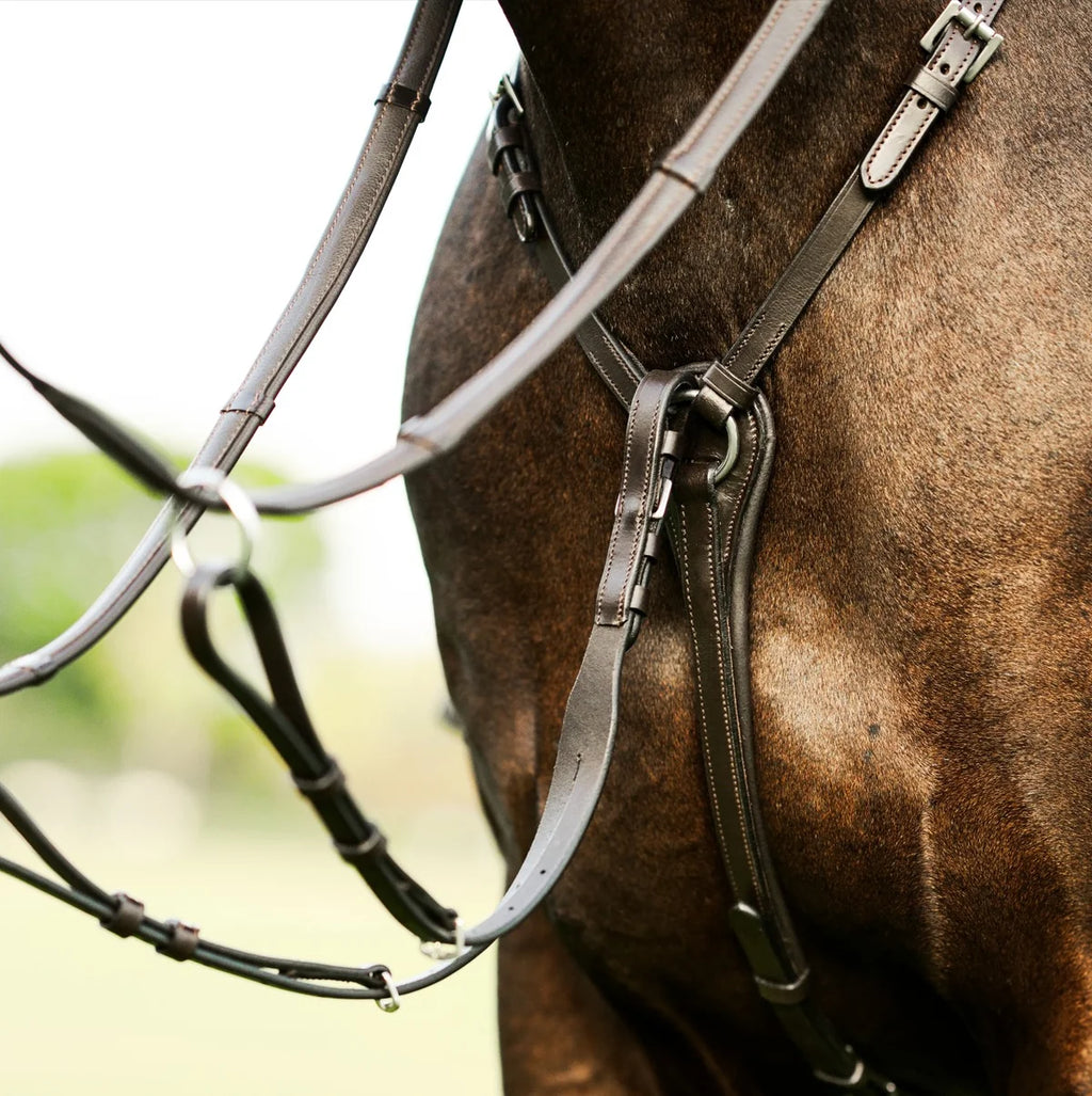 Close-up of a horse wearing the Lumiere Perseus breastplatewith a blurred background