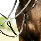 Close-up of a horse wearing the Lumiere Perseus breastplatewith a blurred background