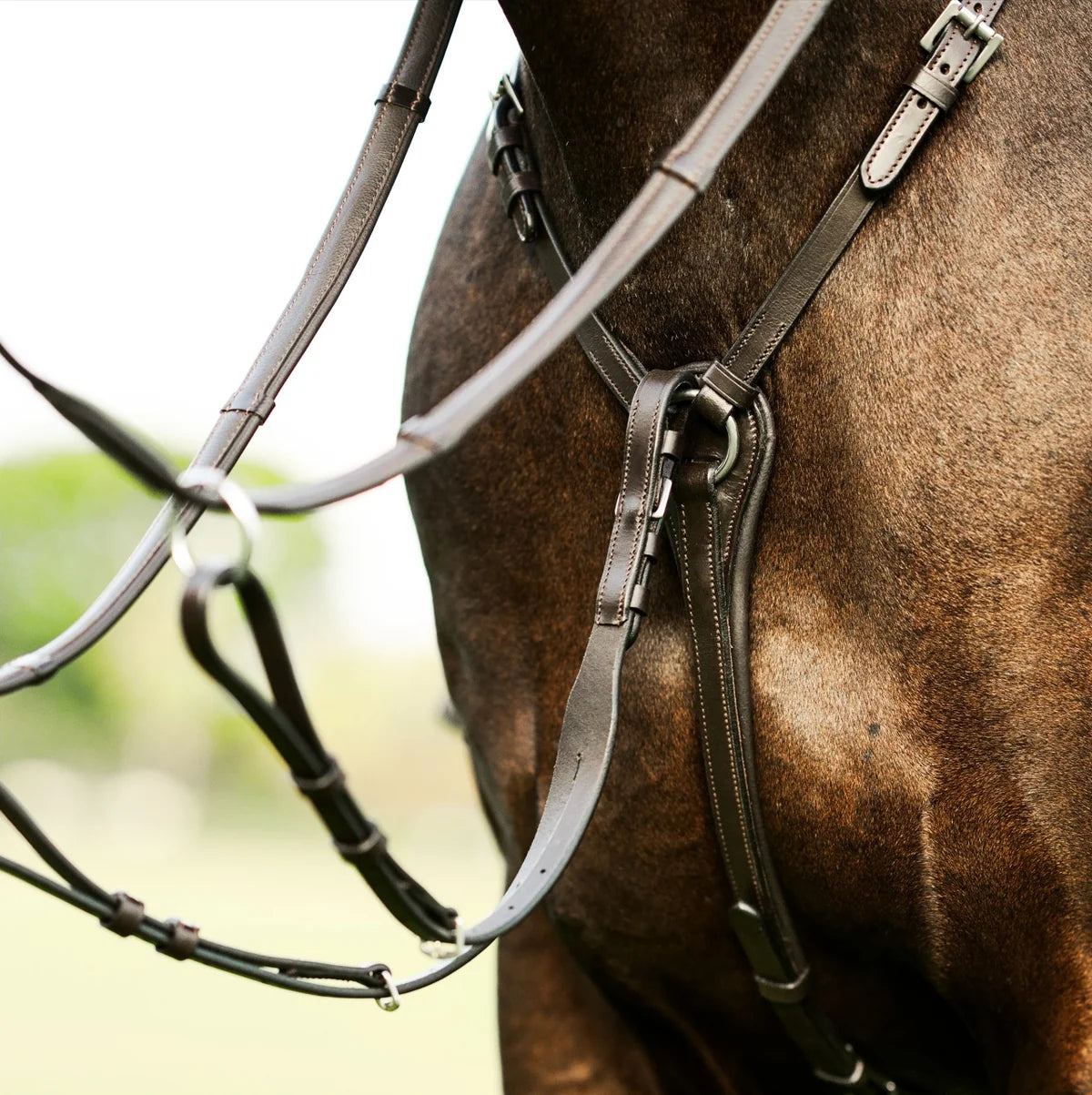 Close-up of a horse wearing the Lumiere Perseus breastplatewith a blurred background