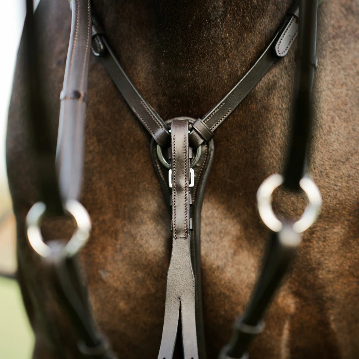 Close-up of a horse wearing the Lumiere Perseus breastplatewith a blurred background