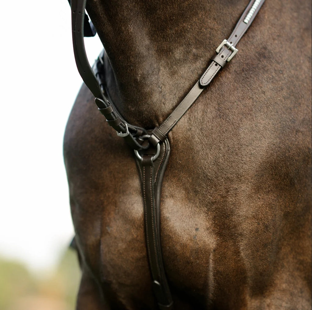 Close-up of a horse wearing the Lumiere Perseus breastplatewith a blurred background