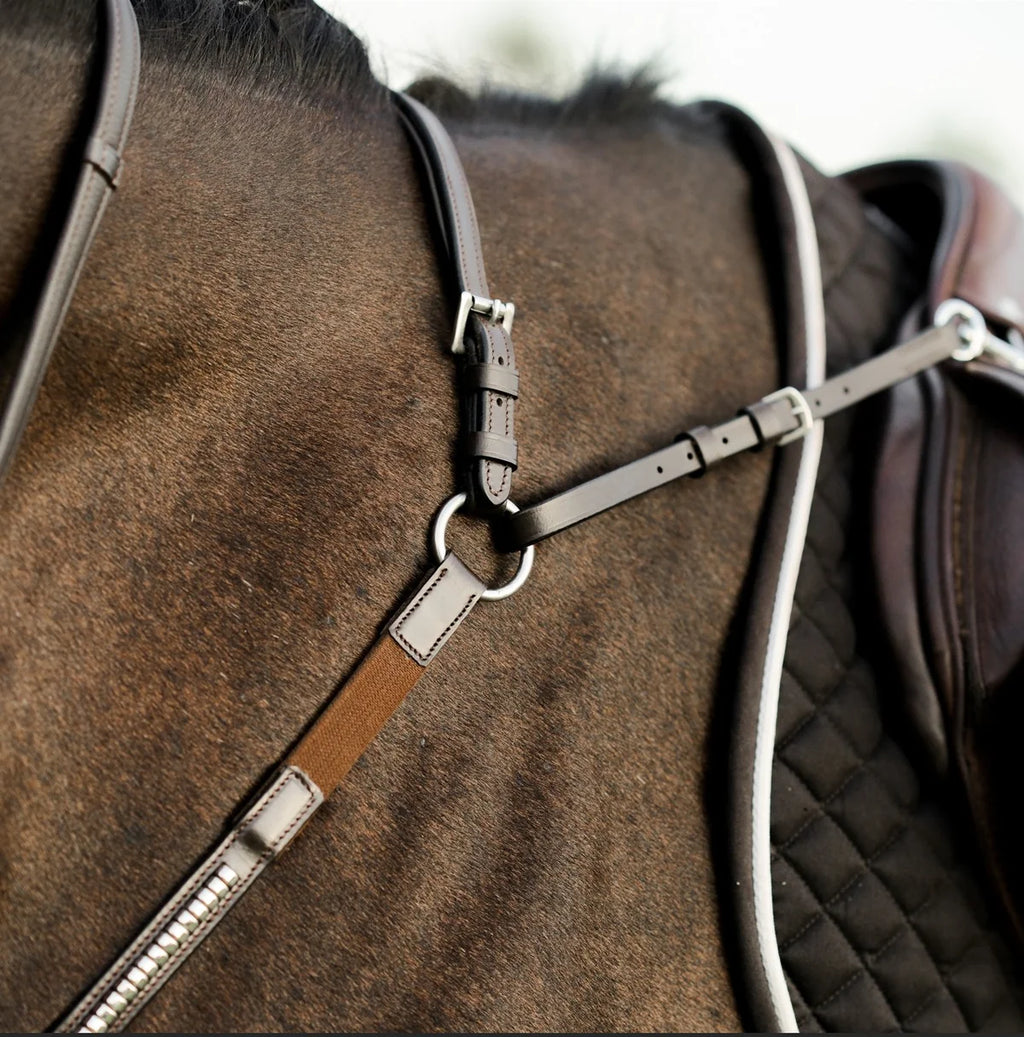 Close-up of a horse wearing the Lumiere Perseus breastplatewith a blurred background