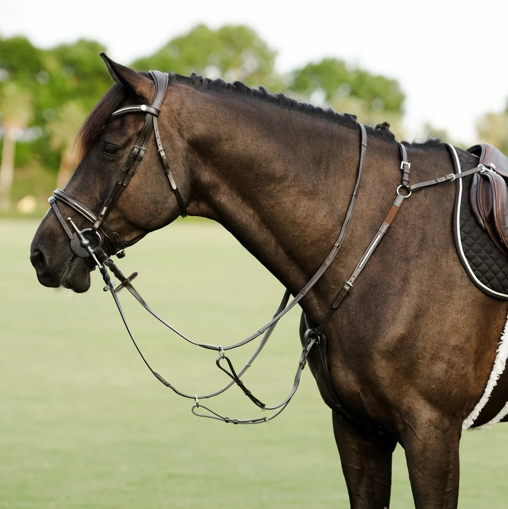 Bai horse wearing a Lumiere bridle and the Perseus Breastplate in an outdoor setting