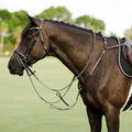 Bai horse wearing a Lumiere bridle and the Perseus Breastplate in an outdoor setting