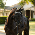 A dark brown horse wearing a black leather Lumiere Saphira snaffle bridle, cavesson variant, bridle with silver decorative beads, standing outdoors in front of a blurred house and trees.