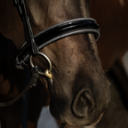 Close-up of a dark brown horse wearing a black leather Lumiere shaphira snaffle bridle noseband, bridle with silver set against a dark blurred background.