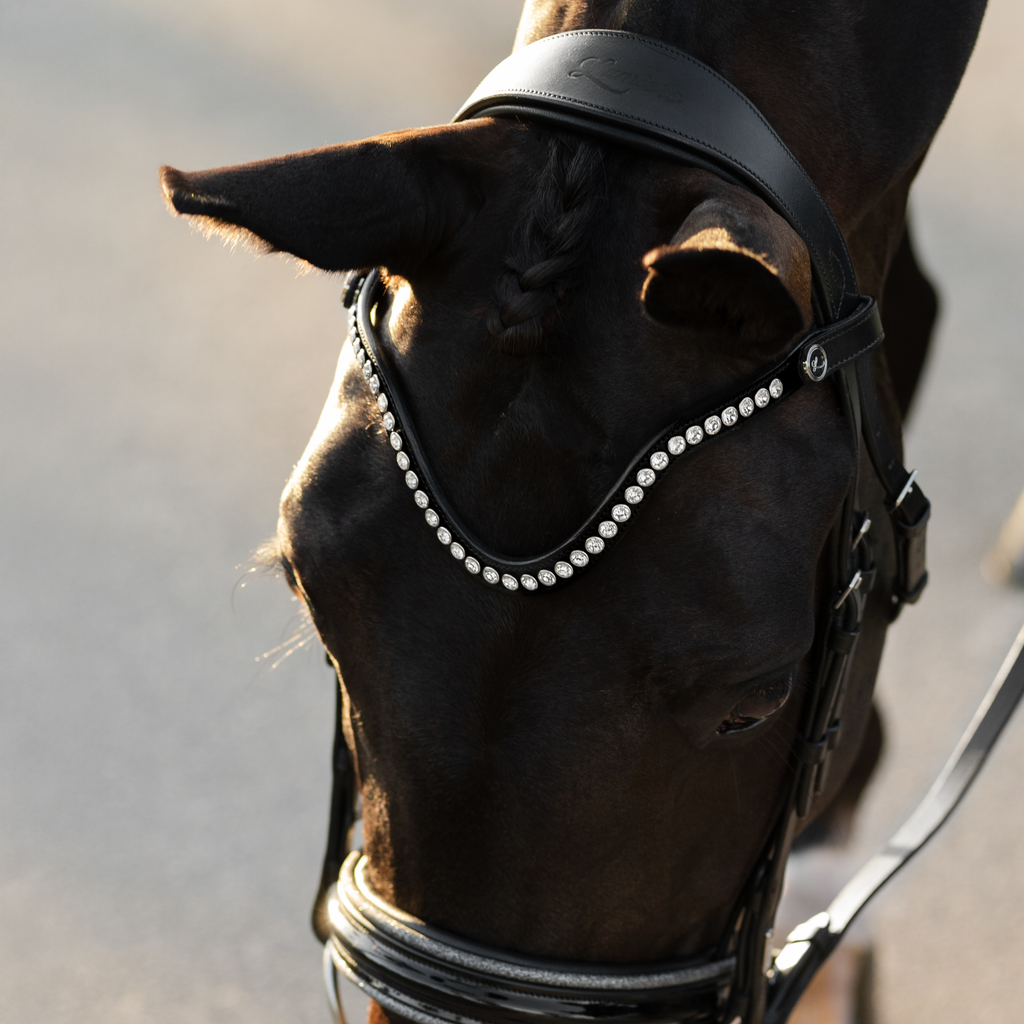 A close-up of a dark horse wearing a black leather Lumiere Saphira snaffle bridle, cavesson variant, a bridle adorned with a curved row of sparkling silver rhinestones