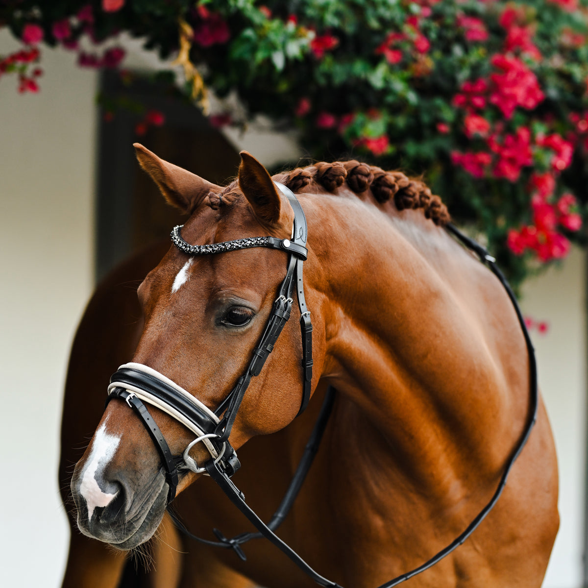 Chestnut horse wearing the Lumiere Sibella bridle crafted from luxury leather featuring a browband with black Austrian stellux crystals with gel-padded anatomic monocrown headpiece and gel-padded Hanoverian noseband — golden mesh over cream nappa leather, matte black finishin, pink flowers background.