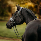 Black horse wearing a Lumiere Adeline bridle crafted from premium leather  with white gel-padded noseband and luxury crystal browband, perfect for dressage, jumping and eventing.