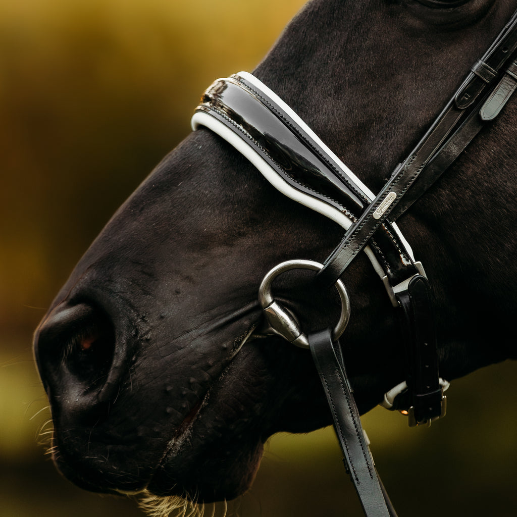 Black horse wearing a Lumiere Adeline bridle crafted from premium leather with white gel-padded soft white leather and  black patent noseband - blurred background