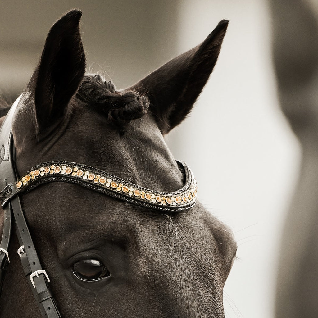 Bai horse wearing the Lumiere Ariana browband featuring a wide deep-drop crystal design — gold-toned Austrian stellux crystals framed by black crystals - Patent leather loops