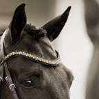 Bai horse wearing the Lumiere Ariana browband featuring a wide deep-drop crystal design — gold-toned Austrian stellux crystals framed by black crystals - Patent leather loops