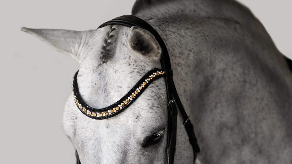 A gray horse wearing the Lumiere Ariana browband featuring a wide deep-drop crystal design — gold-toned Austrian stellux crystals framed by black crystals - Patent leather loops