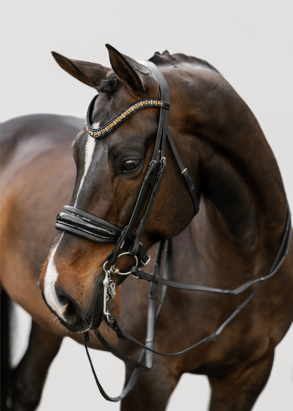Side view Image of a dark brown horse wearing the Lumiere Ariana double bridle