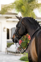 Rear image of a dark brown horse wearing the Lumiere Ariana double bridle