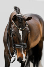 Front view Image of a dark brown horse wearing the Lumiere Ariana double bridle
