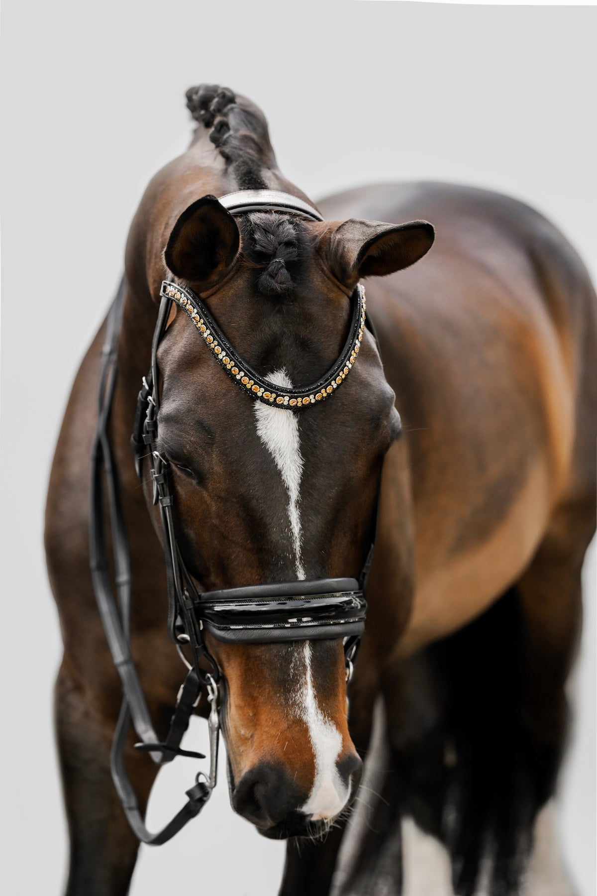 Front view Image of a dark brown horse wearing the Lumiere Ariana double bridle