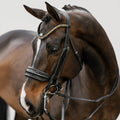 A close-up of a dark brown horse wearing the Lumiere Ariana double crafted from premium leather featuring golden accents on the crystal browband and a patent noseband - set against a light gray background.