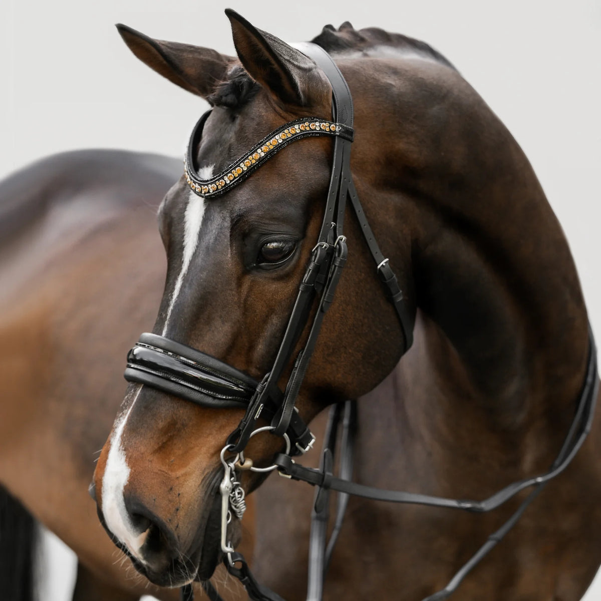 A close-up of a dark brown horse wearing the Lumiere Ariana double crafted from premium leather featuring golden accents on the crystal browband and a patent noseband - set against a light gray background.
