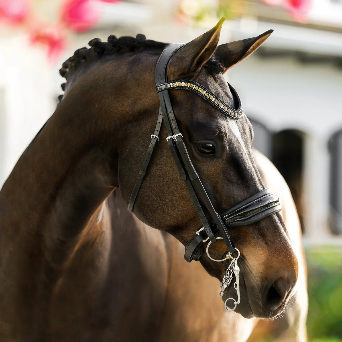 A close-up of a dark brown horse wearing the Lumiere Ariana double crafted from premium leather featuring golden accents on the crystal browband and a patent noseband - set against a softly blurred outdoor background.