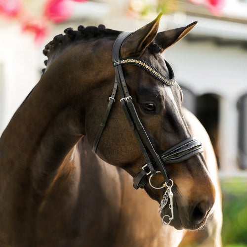 A close-up of a dark brown horse wearing the Lumiere Ariana double crafted from premium leather featuring golden accents on the crystal browband and a patent noseband - set against a softly blurred outdoor background.